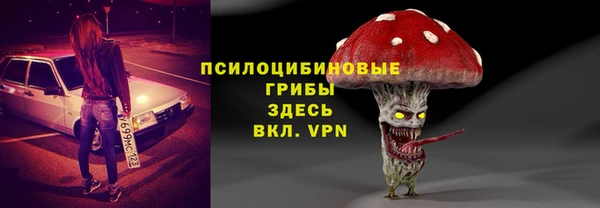 ECSTASY Гусев