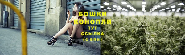 ECSTASY Гусев