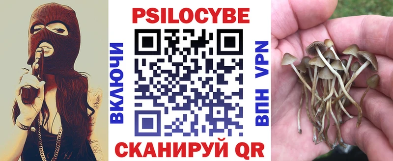 Галлюциногенные грибы прущие грибы  где купить наркотик  Чкаловск 